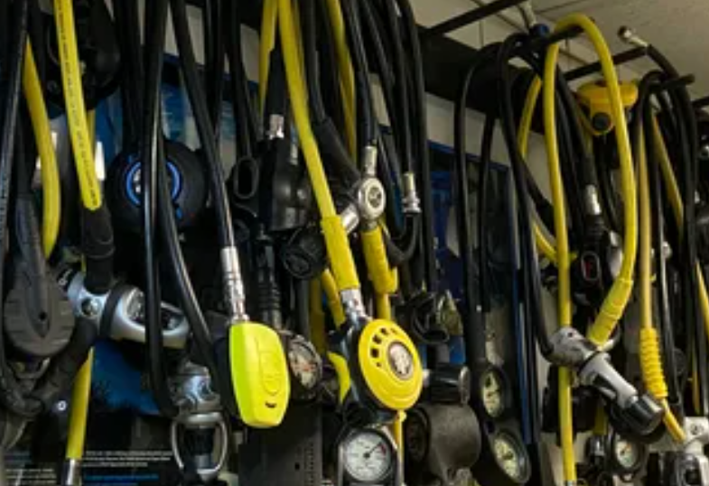 team and community event